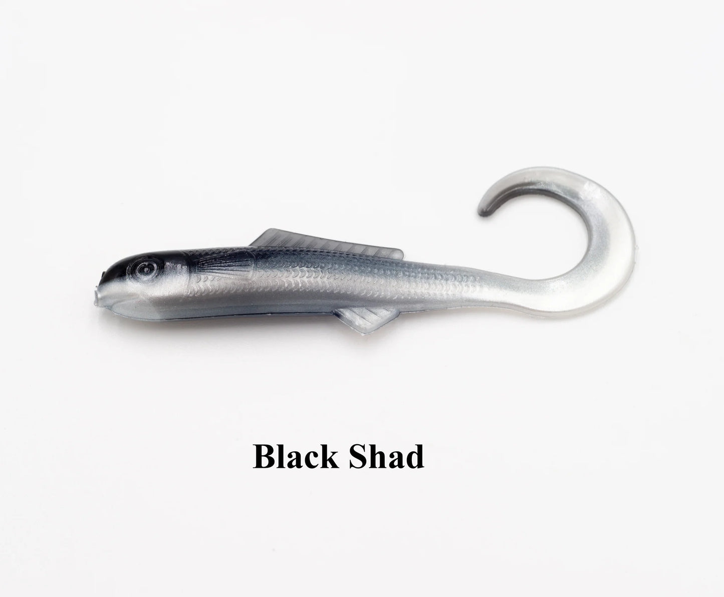 4 inch curly tail minnow