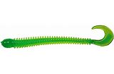 4 inch ring worm